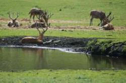 пражыванне Вармия Мазуры адпачынак у Польшчы 07